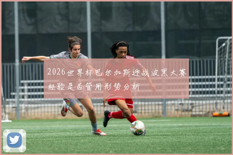 2026世界杯巴尔加斯迎战波黑大赛经验是否管用形势分析