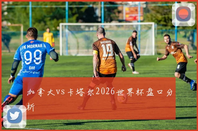 加拿大vs卡塔尔2026世界杯盘口分析