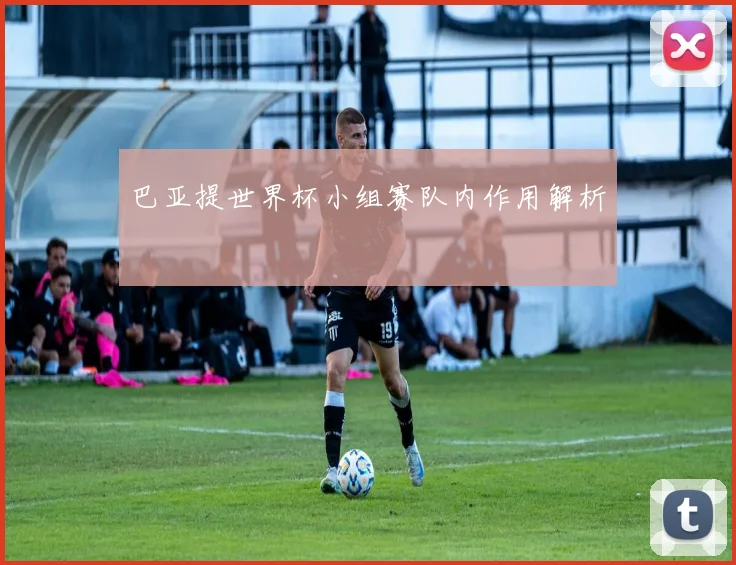 巴亚提世界杯小组赛队内作用解析
