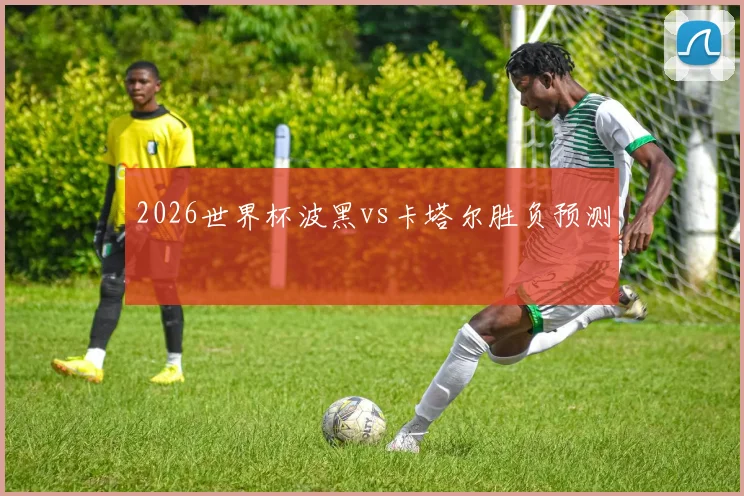 2026世界杯波黑vs卡塔尔胜负预测