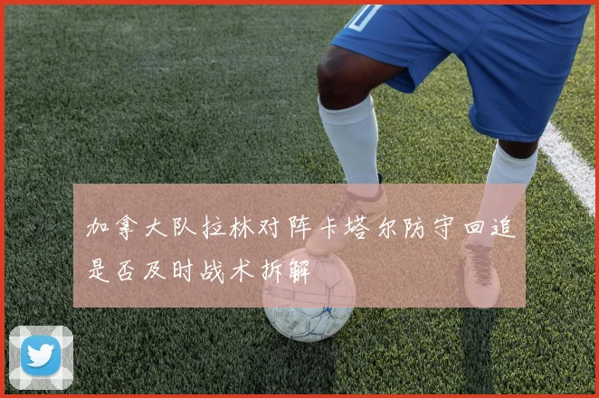 加拿大队拉林对阵卡塔尔防守回追是否及时战术拆解