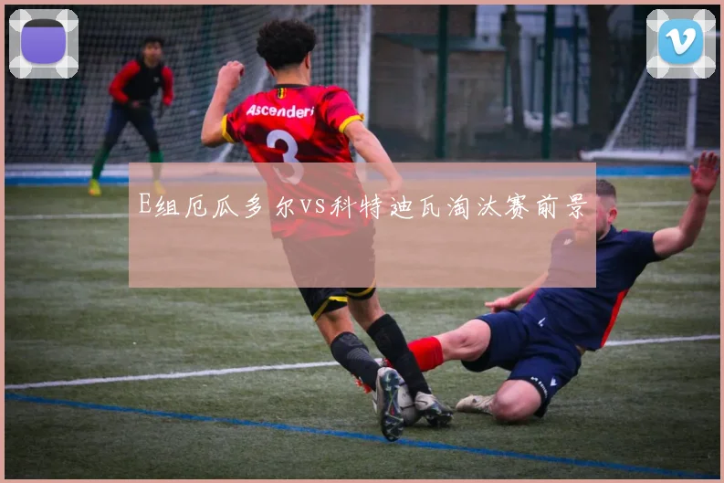 E组厄瓜多尔vs科特迪瓦淘汰赛前景