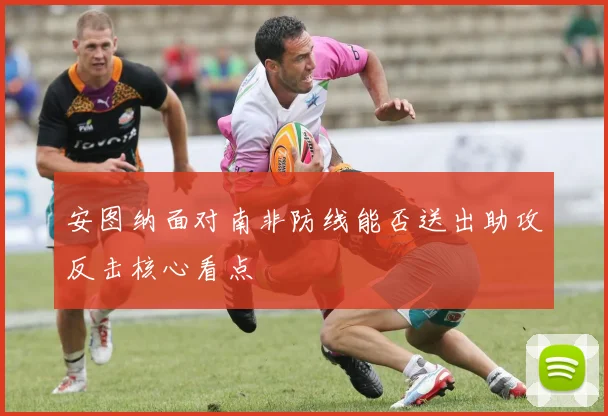 安图纳面对南非防线能否送出助攻反击核心看点