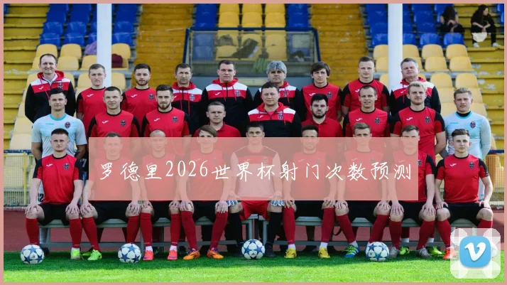 罗德里2026世界杯射门次数预测