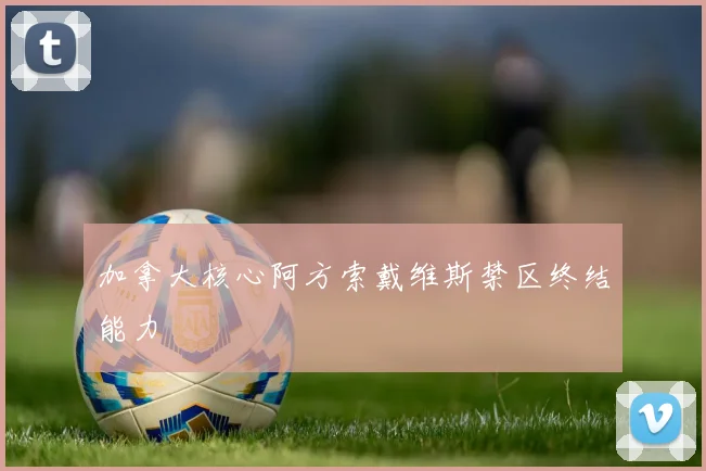 加拿大核心阿方索戴维斯禁区终结能力